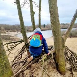 Dinosaurus Backpack - Rex - Peuter Rugtas – Rugzak Schooltas Voor Peuters/Kleuters – Jongens En Meisjes | Kinderrugzak | Kinder Rugzak | Dieren | Schooltas | Peuterspeelzaal | Opvang | 6 Liter | Klein Peuter Rugzak | Rugtas | Dino | T-Rex -Tas Kortingswinkel 1200x1200 1112