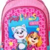 Paw Patrol SKYE & EVEREST Rugzak Rugtas School Tas 5-10 Jaar Roze 2 Paw Patrol SKYE & EVEREST Rugzak Rugtas School Tas 5-10 Jaar Roze -Tas Kortingswinkel 825x1200 22